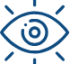 vision